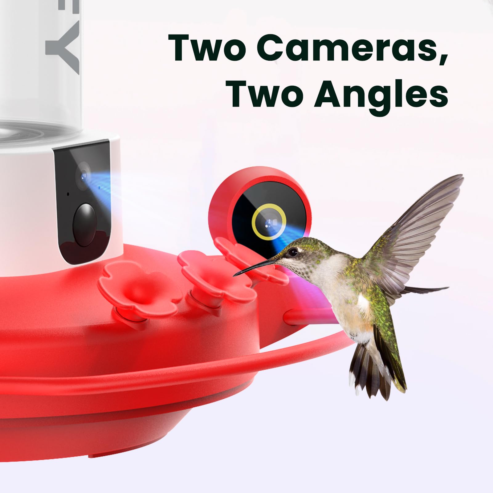 https://m.media-amazon.com/images/I/61P6o3IiZkL.jpg