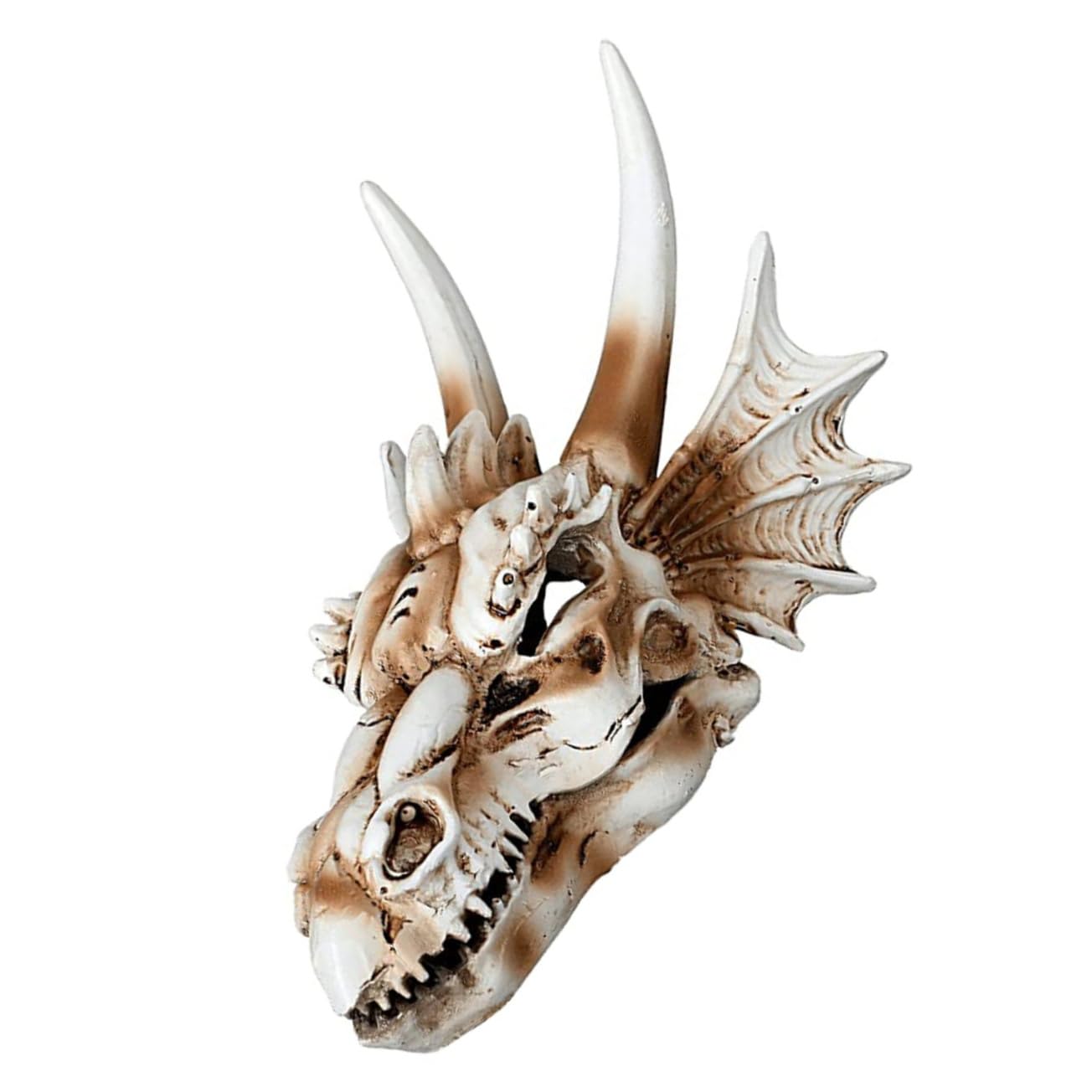 BESPORTBLE Décoration De Crâne De Dinosaure Résine pour Aquarium Accessoire De Paysage Naturel pour Réservoir Eau Et Terrarium Décoratif Et Durable pour Poissons Et Reptiles
