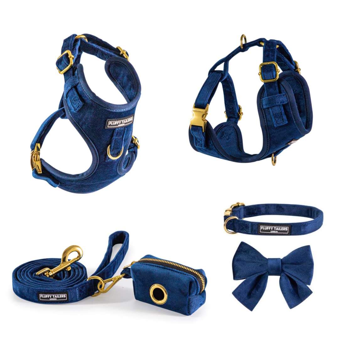Royal Blue Velvet Collection- arnés para perro, cuello, pajarita, correa y soporte para bolsa (extra pequeño)