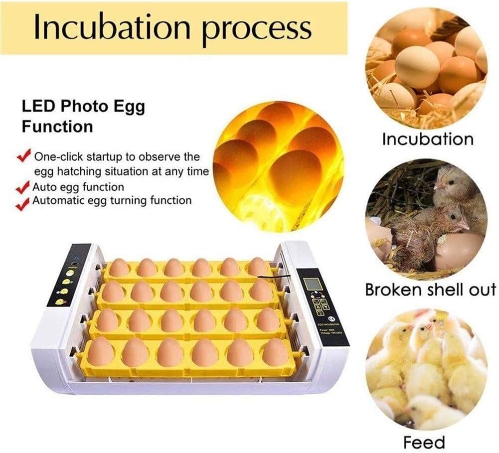 Egg Incubator Automatic Turning with LED Light Temperature Control 24 Digital Eggs Poultry Hatcher for Chicken Duck Goose Quail Eggs Poultry Hatcher for Chicken Duck Goose Quail