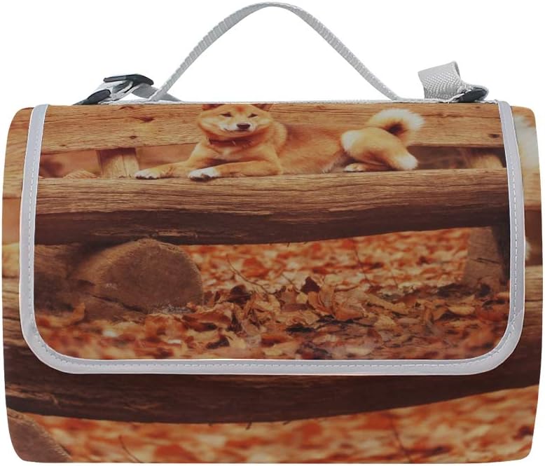 レジャーシート 面白い 柴犬 ピクニック 折りたたみ 撥水 アウトドア クッション マット コンパクト 花見 運動会 キャンプ 遠足