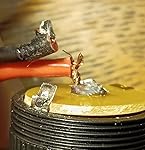 Review Image by Mtalus Mtalus