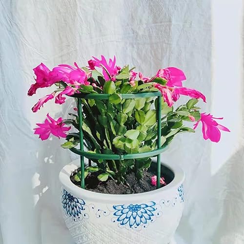 Miniatura 3 de Angoily 15 piezas de enrejado para trepar plantas, soporte de escalada de plantas, soporte de plástico para plantas, marco de plantas, enrejado,