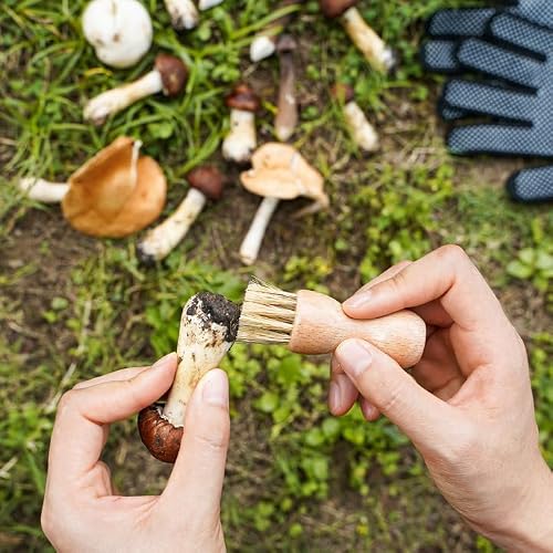 Foto von GVDV Pilzmesser mit Bürste, Pilzsammeltasche, Kompass und 2*Handschuhe, Champignon/Trüffel Taschenmesser Klappmesser, Pilzbürste mit Wildschweinborsten, Schwammerlmesser für Pilzsammler