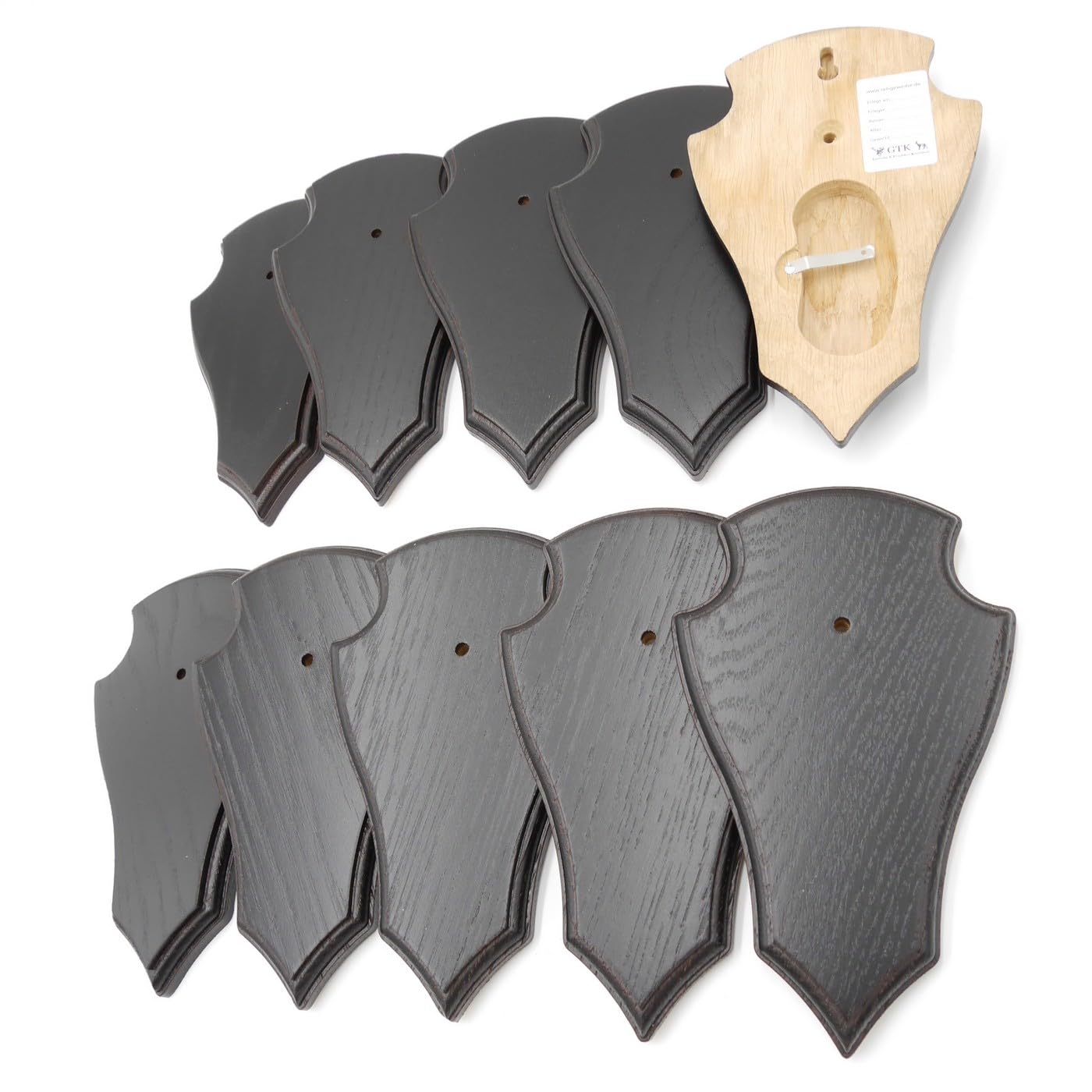 GTK - Geweihe & Trophäen KRUMHOLZ 10 placas de trofeo en forma de corzo pequeño roble oscuro AF 19 cm x 11 cm con 1 compartimento de pino