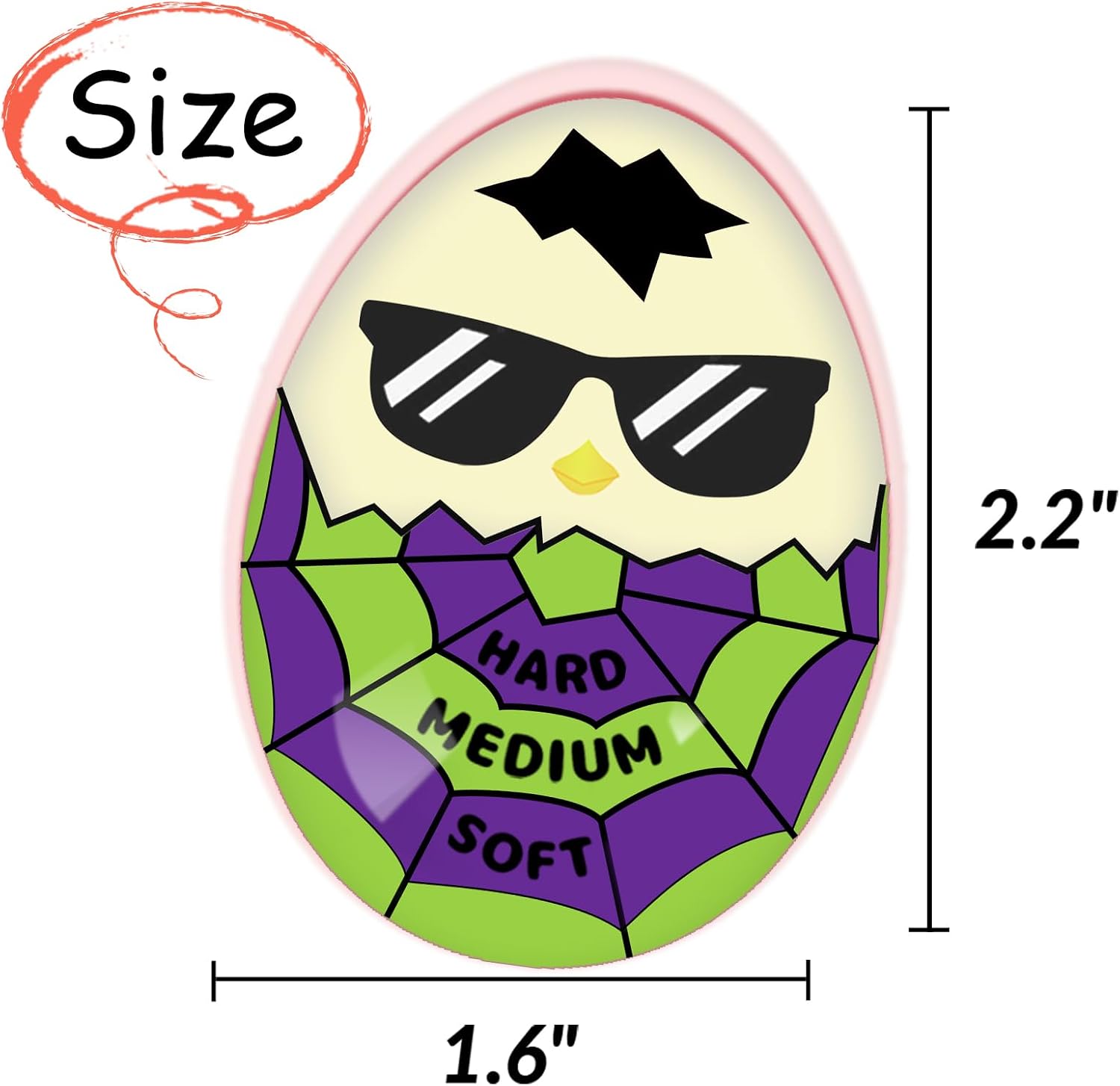 Lasubst Color Changing Egg Timer for Boiling Eggs, Purple & Green