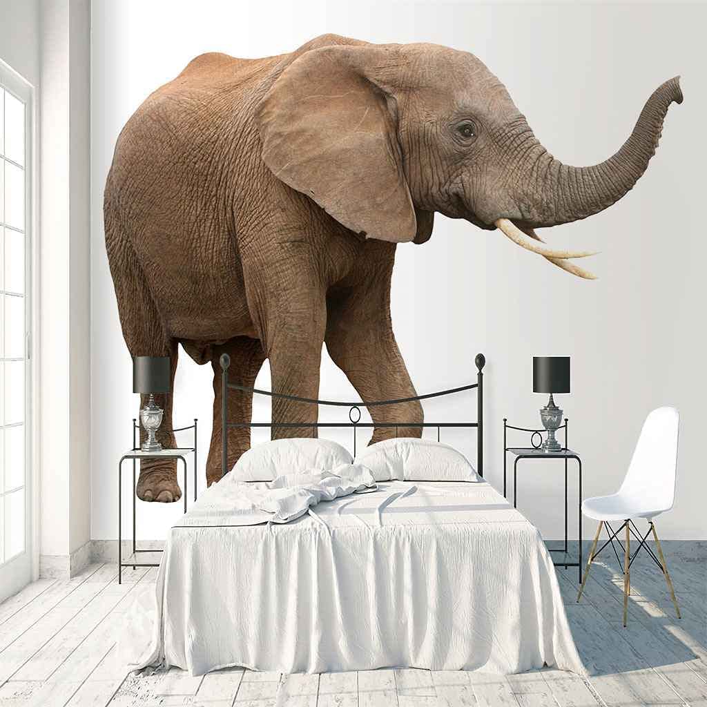 3D Murale Papier peint intissé Girafe éléphant animal noir et blanc