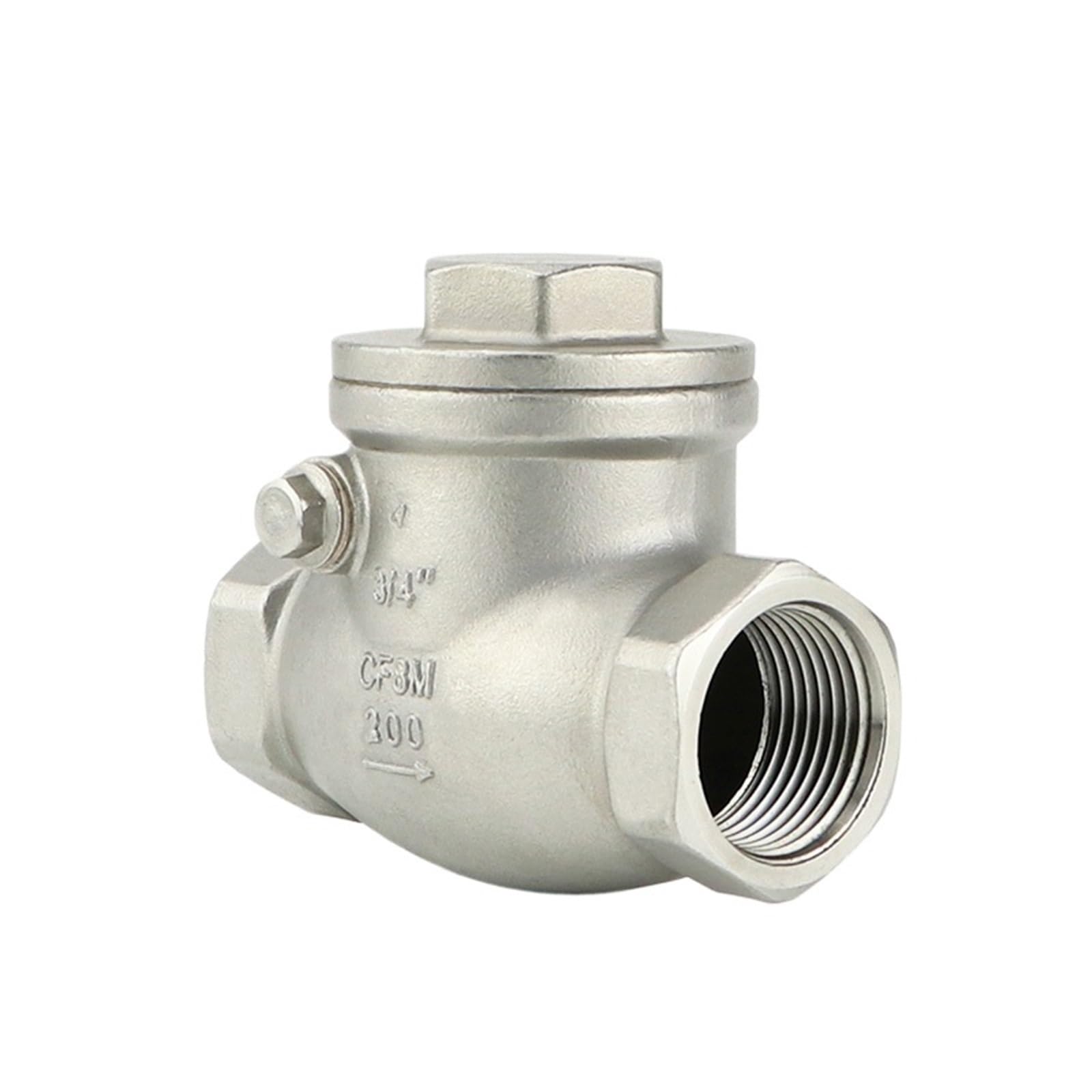 Dkgnyxnplj Dn80 Stainless Steel Switch Check Valve 3 Inch Thread Ss304 201 316L 2 Way Swing Check Valve(Ss304)