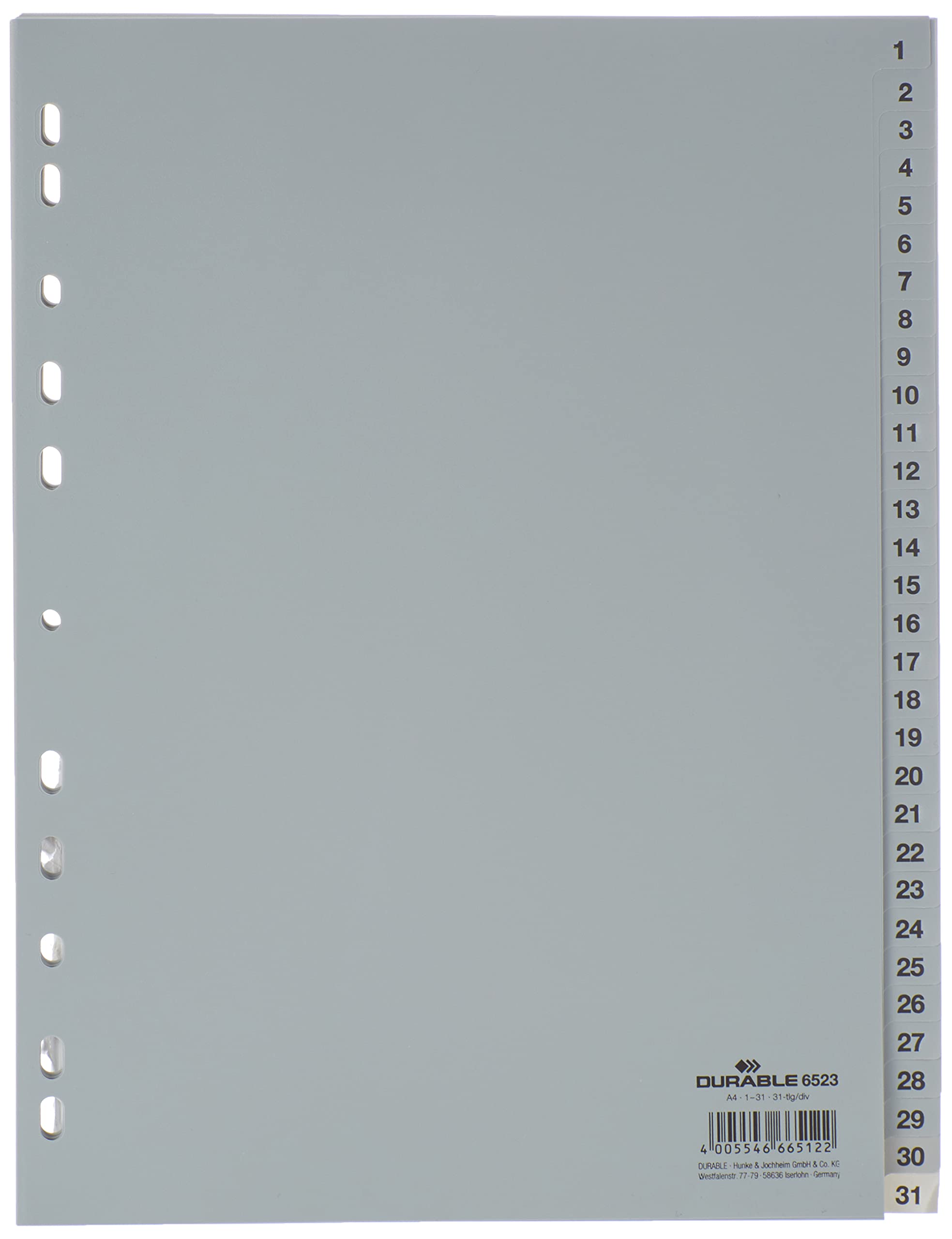 Durable Index Dividers with Printed & Coloured Tabs | Tabs Numbers 1-31 | Made of Strong Polypropylene For Durability | A4 Pack of 1 Piece