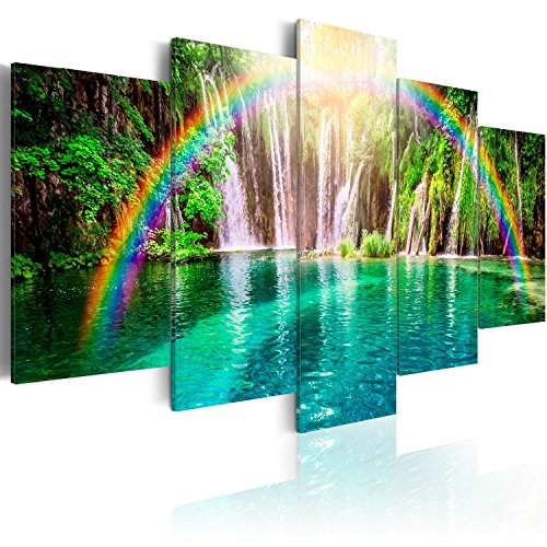 murando - Cuadro en Lienzo 200x100 cm Cascada Impresión de 5 Piezas Material Tejido no Tejido Impresión Artística Imagen Gráfica Decoracion de Pared Arco Iris c-A-0071-b-n