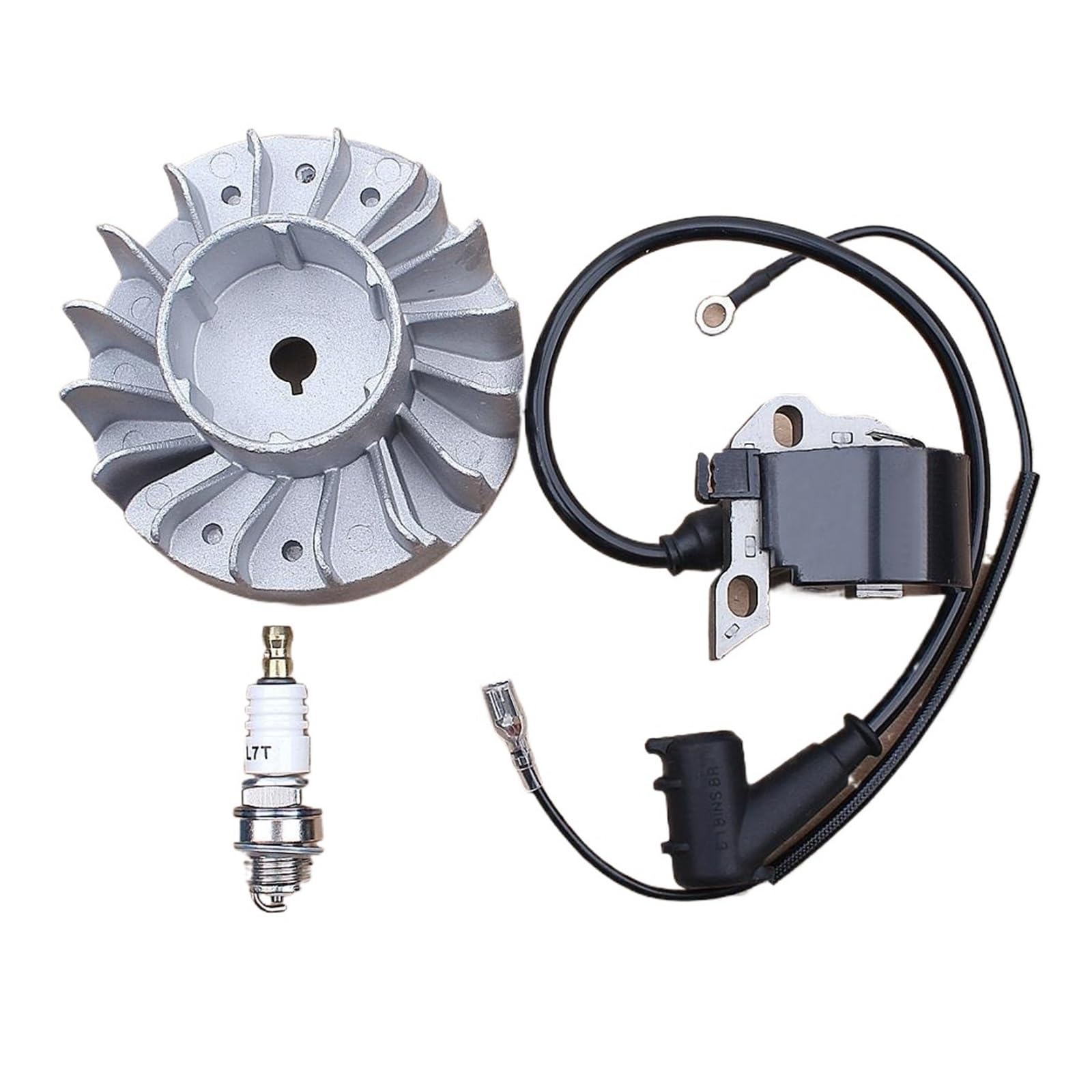 Bobine d'allumage et bougie FS160 FS220 00004001306 41194001201