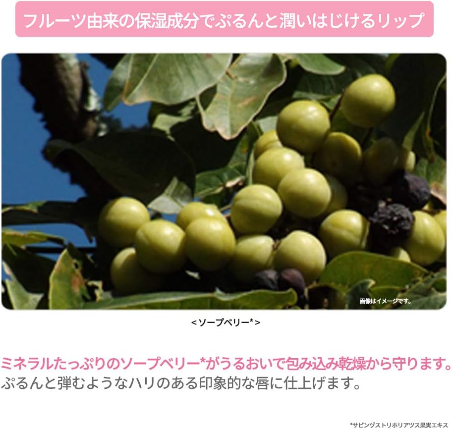 ETUDE (エチュード) ディアダーリン ウォータージェルティント PK004 アズキバー [口紅、落ちない、リップティント] 30.0グラム (x 1)