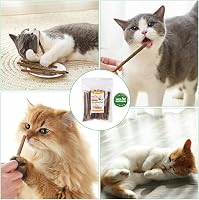 OSDUE Macskamenta Rágópálcika Szett 32 db - Matatabi Kaupálca Macskáknak, Fogápolás és Szájszag Ellen, Természetes és Biztonságos Cicajáték 6