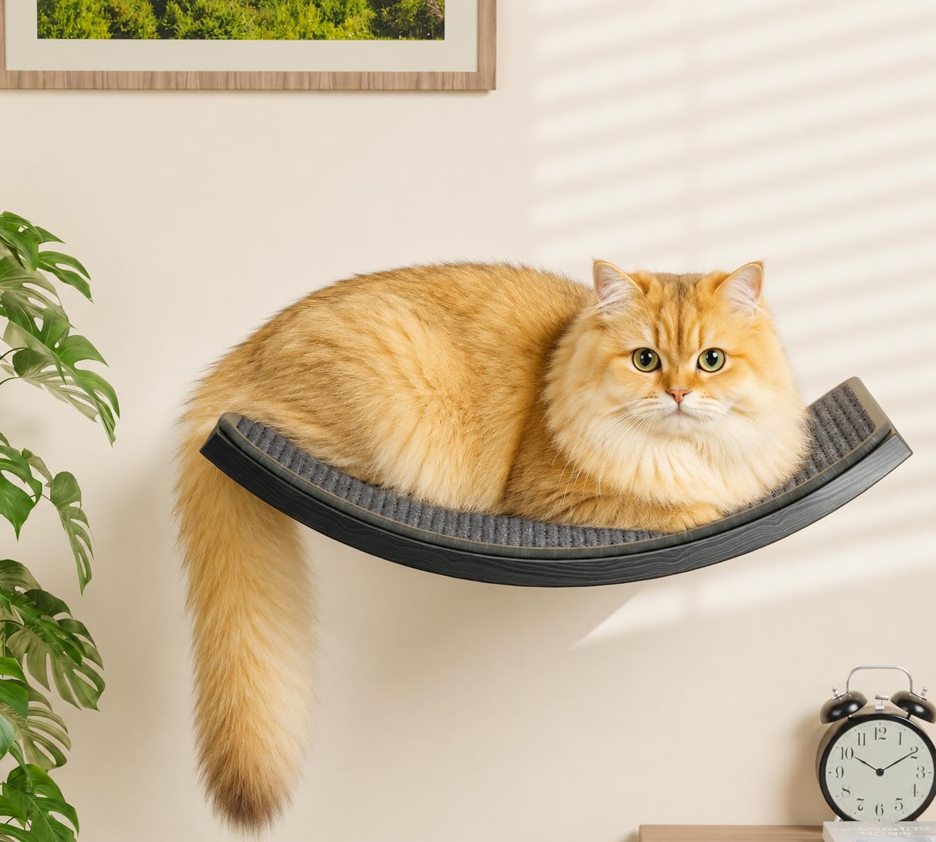 Curved Cat Wall Shelves with Scratching Mat, Wall Mounted Wood Multi-Functional Cats Walls Furniture for Indoor, Cat Sleeper Platform Shelf for Climb Play Nap