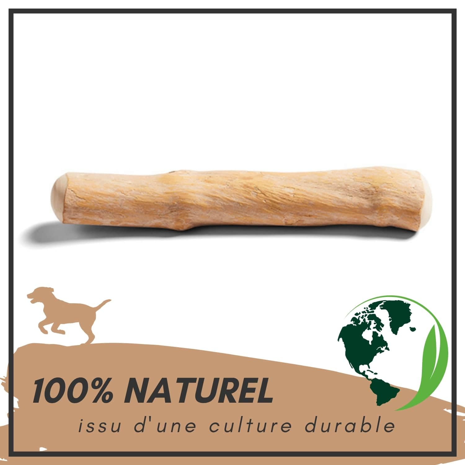Supravit Os à Naturel en Bois de café pour Chiots XS | Plus qu'un bâton – Jouet à mâcher passionnant pour Chiot & activité Durable | Bâton à mâcher en Bois pour Chiots