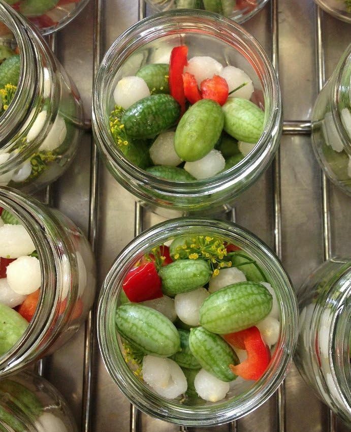 Miniatura 5 de 100 semillas de cucamelón  Mini legumbre mexicano de pepinillo agrio sandía vegetal, consejos fáciles de plantar para jardineros domésticos