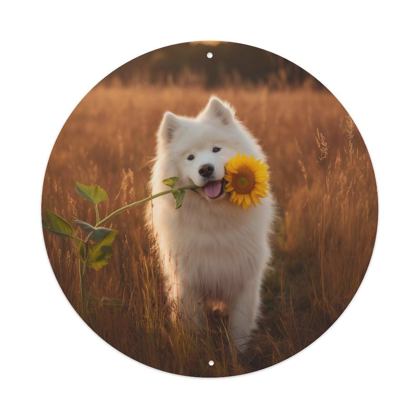 Cwbufd Vintage Style Animal A Samoyed Carrying A Sunflower. Vintage Metal Tin Sign Plaque Wall Decor For Cafe, Club Bar, Office, Garden Metal Poster 8X8inch