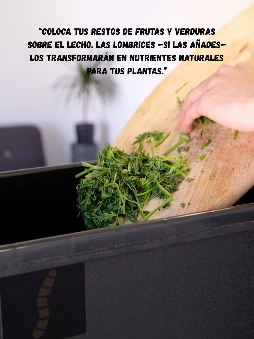 Lombricompostera Domestica 32L de Plastico Reciclado con Grifo Vermicompostaje Natural para Restos Organicos Cocina Balcon Terraza Compostaje Limpio con Diseño Compacto Fabricada en España