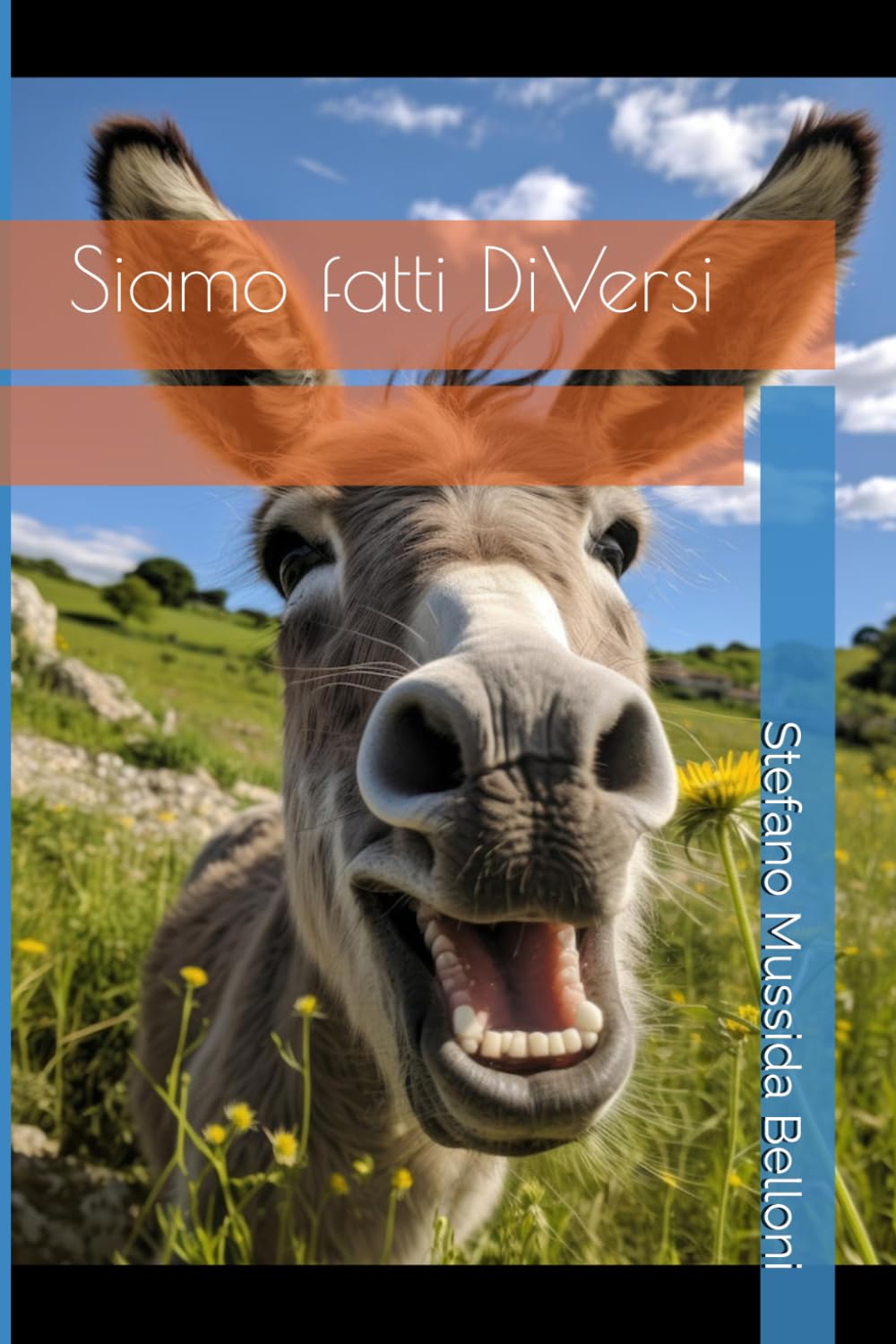 Siamo fatti DiVersi