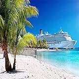LFEEY 8x8ft Seaside Pier Cruise Ship Photography Backdrop Tropical Summer Beach Palm Tree Seascape...