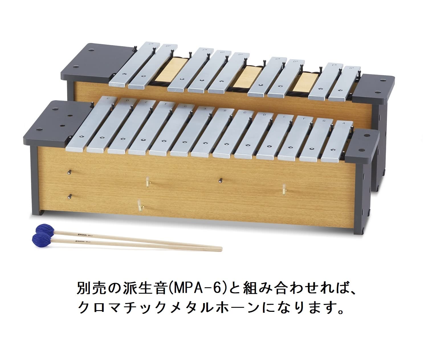 Amazon.com: Suzuki Music Metallophone (MPA-16) : Musical