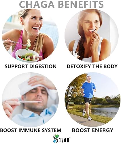 Miniatura 8 de Sayan Extracto de hongo chaga siberiano y reishi orgánico 90 cápsulas vegetarianas y caja de 20 bolsas de té chaga - Suplemento dietético cosechado