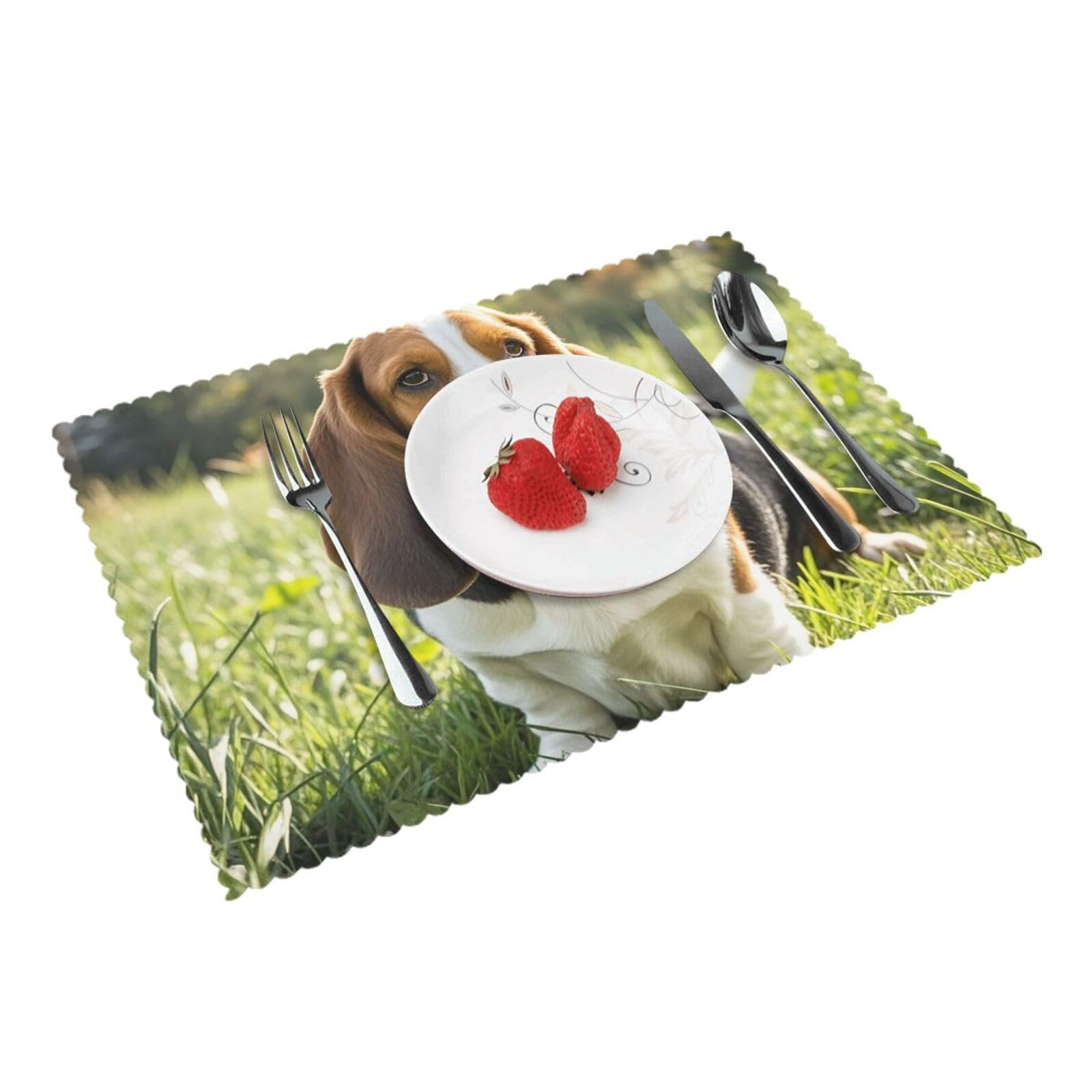 Placemats Set of 4 Heat Resistant Woven Place Mats for Dining Table Basset Hound Placemats Washable Wipeable PVC Table Mats Indoor/Outdoor Place Mats for Party Kitchen Decor 30x45 cm