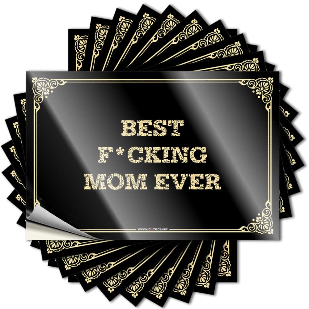 Decal Boys Room Decor Teenager | Book Cover Best F*cking Mom Ever for Teen(6X9CM)
