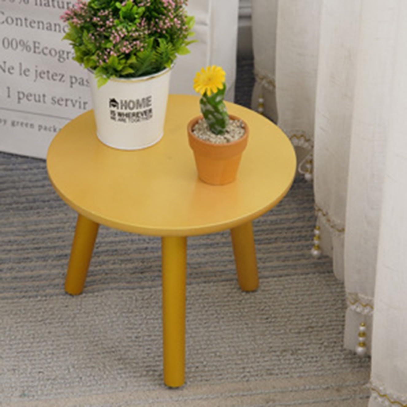 エボリスピナ× ブラックアンドブルーハイブリッド①発根済み アガベ