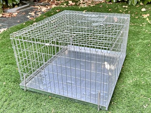 Gabbia per cattura e rilascio piccioni e colombi