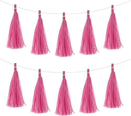 Vista 32 de MECCANIXITY 15Pcs Dark Purple Tassel Garland Banner with Rope Tissue Paper Tassels Party DIY Kits for Anniversary Wedding Birthday Party