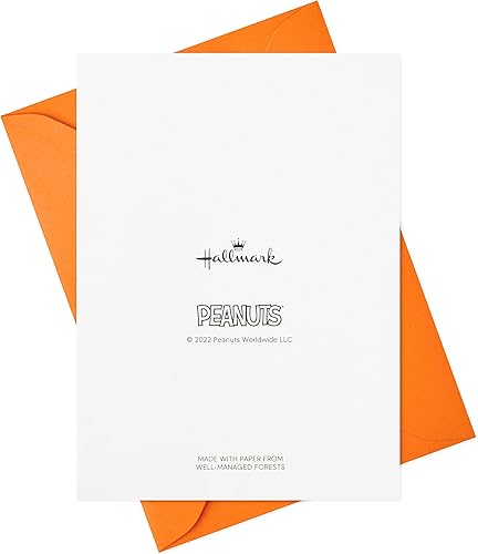 Miniatura 7 de Hallmark Tarjetas de agradecimiento de Peanuts, Snoopy in Hot Air Balloon (20 tarjetas con sobres)