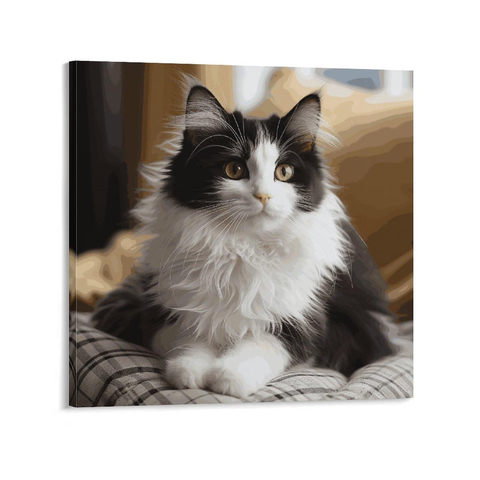White And Black Kitten Sitting Canvas Wall Art for Bedroom 20x20inch(50x50cm) Canvas Prints Artwork for Walls Modern Picture Artwork Painting for Living Room Aesthetic Wall Paintings for Bathroom Kitc