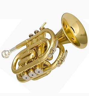 Student Brass Trumpet Palm Size Portable Trumpet B-flat Cornet Brass Instrument