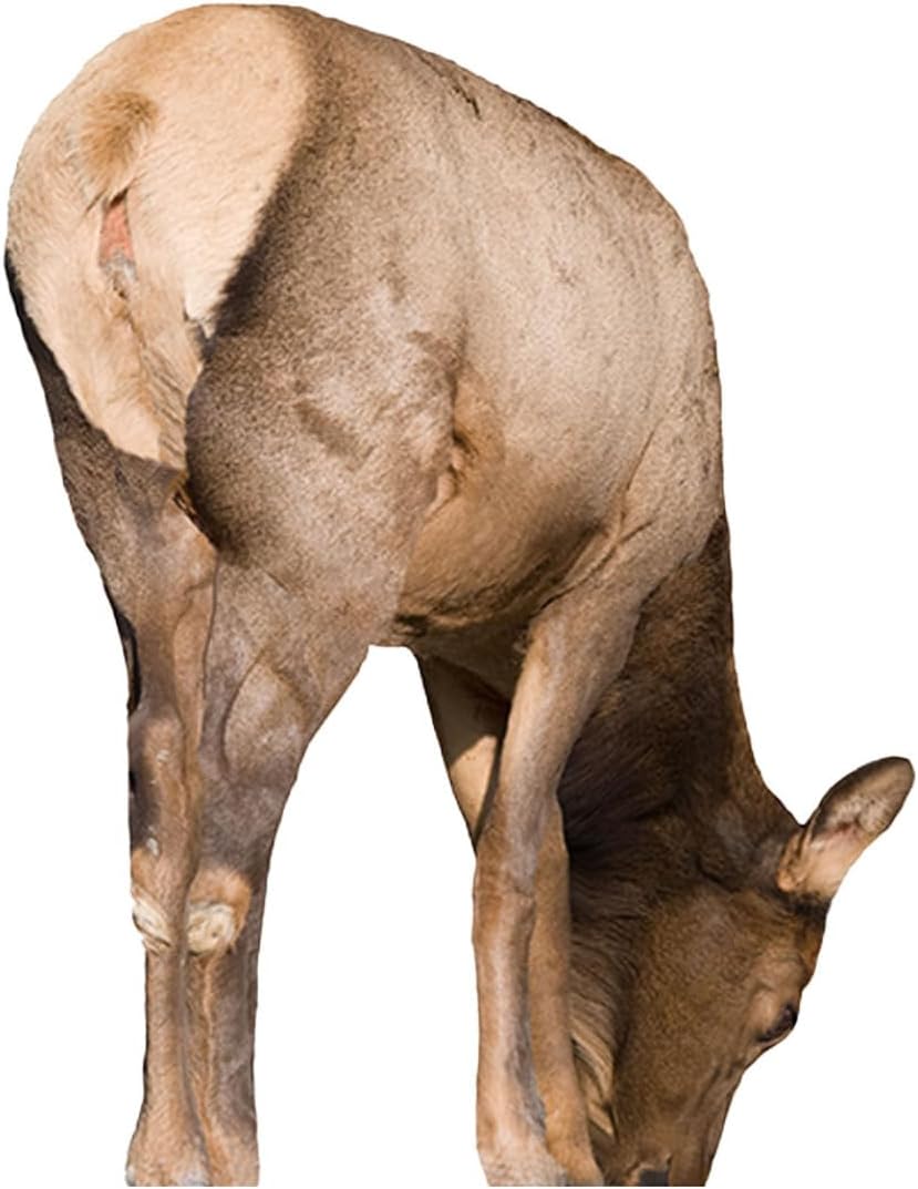 Montana Decoy Miss September Feeding Elk