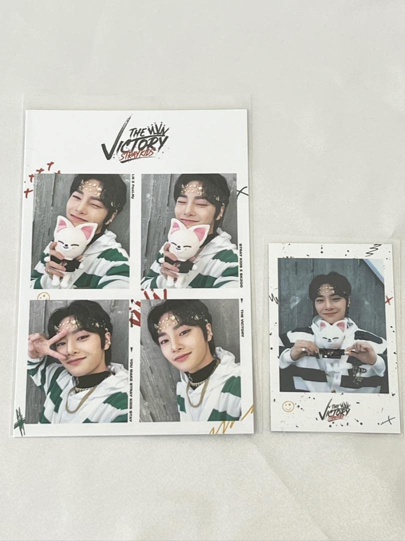 Amazon.co.jp: Stray Kids グッズ ストレイキッズ スキズ SKZOO 4 CUT 