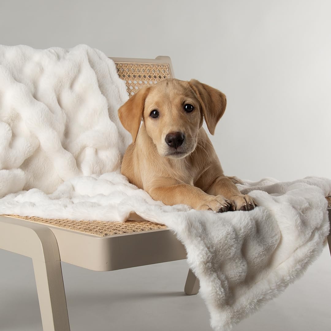 Scruffs Cloud "My First" Puppy or Kitten Blanket - Cream