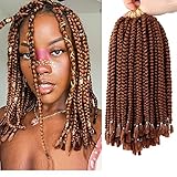 10 inch Crochet Box Braids 6 Packs Bob Box Braids Crochet Hair for Black Women Medium Box Braid...