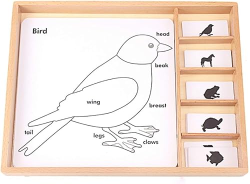 Montessori Botany Puzzles Actividad Set Animales Plantas Tarjeta PVC Material Caja de Madera Bebé Inglés Juegos Juguetes para Niños Formación