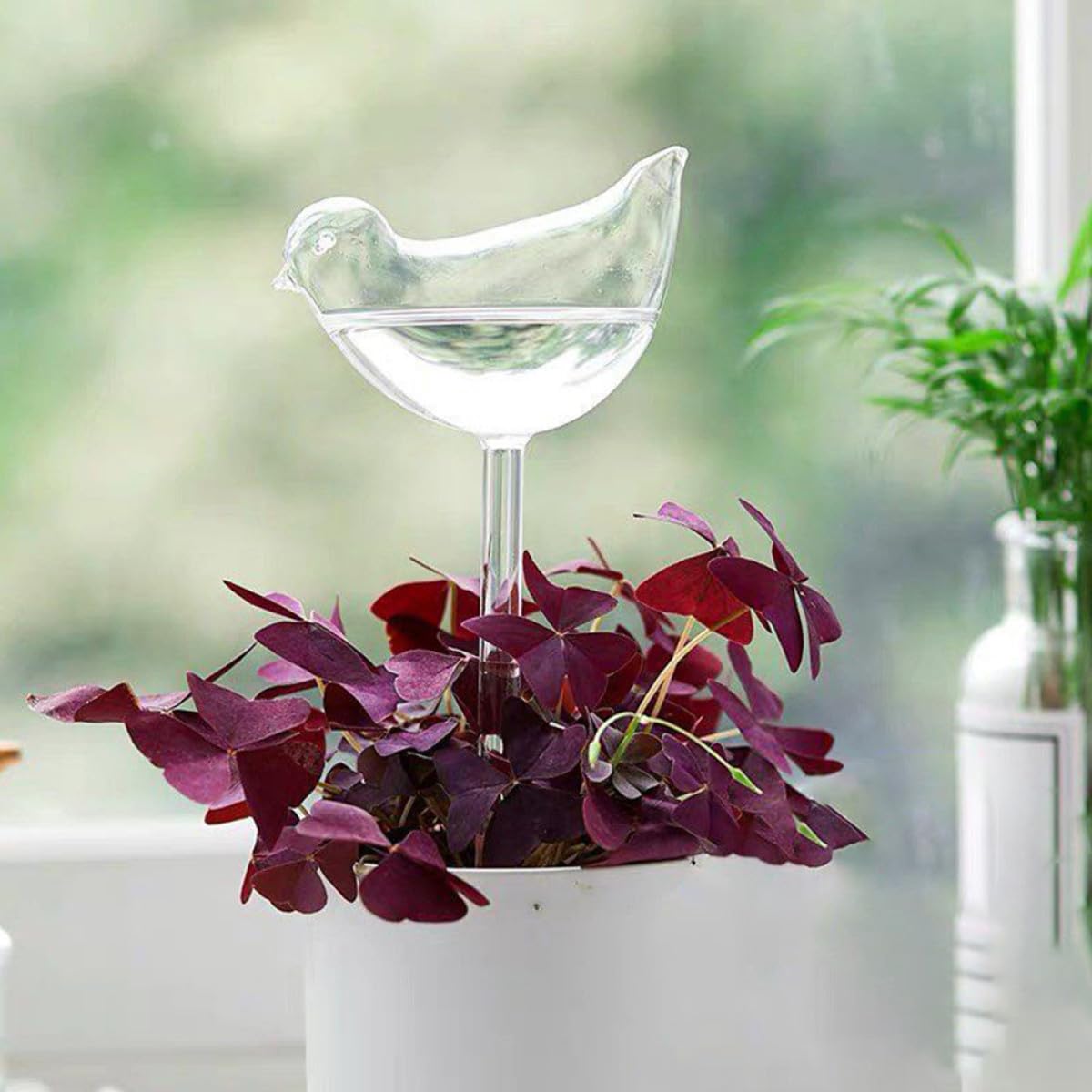 POPETPOP Lot de 4 Globes D'arrosage Automatiques Transparents en Verre pour Plantes D'intérieur et D'extérieur, Arrosage Goutte à Goutte, Autonomie 7-14 Jours, Système d'eau Pratique