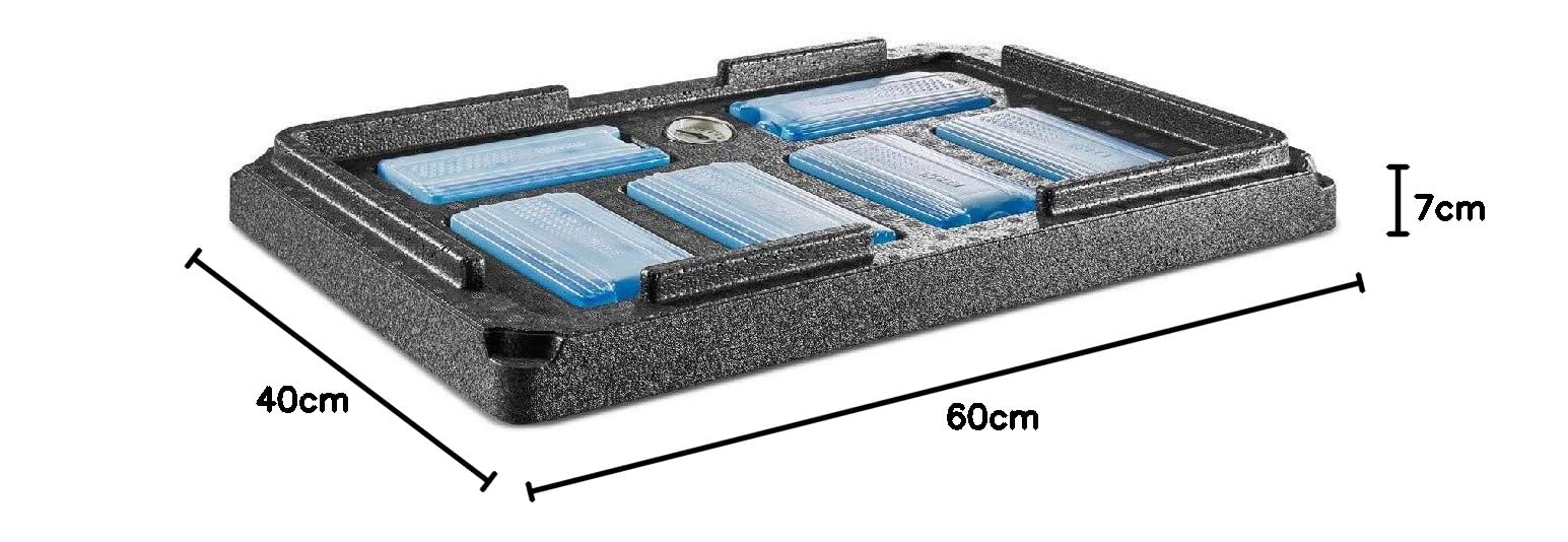 G1/1 Gastrostar Boîte isotherme EPP GN 1/1 Noir