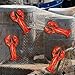 Silipull 5 Pcs Sea Animal Balloons Decorative Fish Net Set Crab Lobster Fish Foil Balloons Ocean Nautical Themed Party Decorations for Under The Sea Pirate Birthday Party Decorations(Crawfish)
