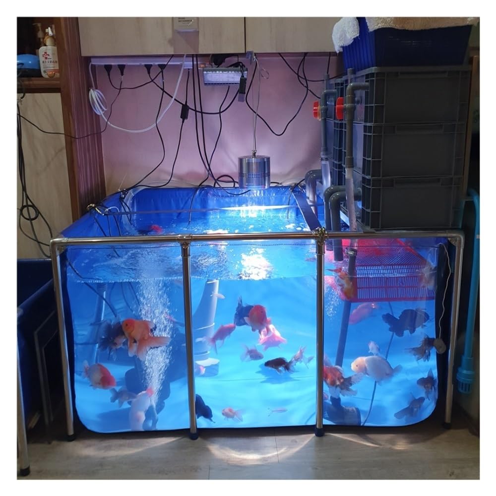 Koi/pez Dorado Filtro De Acuario, Grande 3 Niveles Externo Caja De Filtro para Peceras Y Estanques, Fácil De Montar, No Incluye Bomba Ni Medios Filtrantes (Color : Azul, Tamaño : 30x20x35cm)