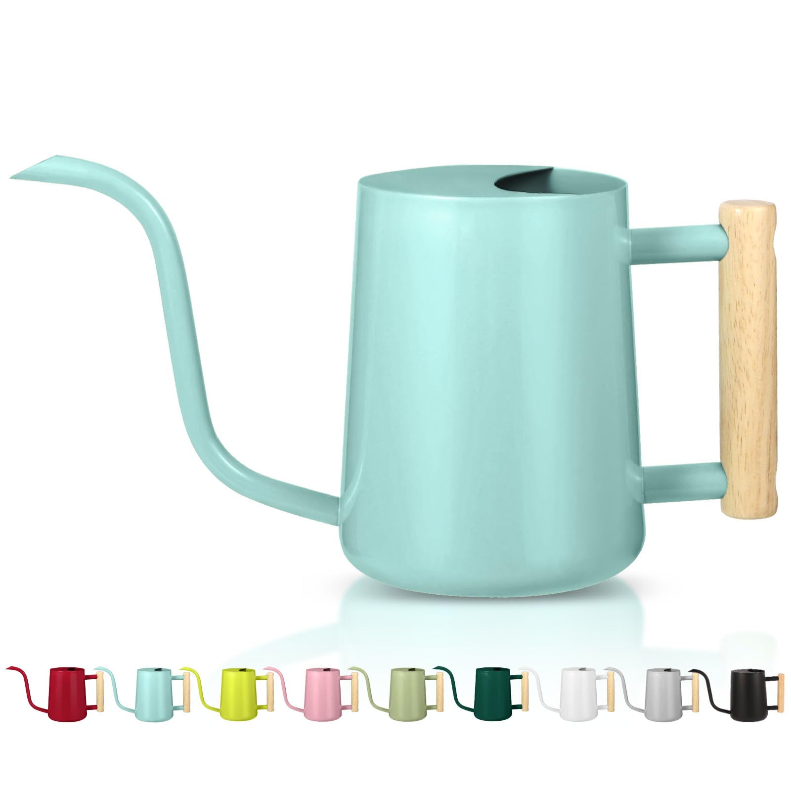 Gießkanne Zimmerpflanzen, 1000 ml, kleine Gießkanne für den Innenbereich, Edelstahl, Metall, moderne dekorative Gießkanne mit langem Auslauf für Zimmerpflanze, Bonsai, Outdoor, Garten, Blumen – Grün