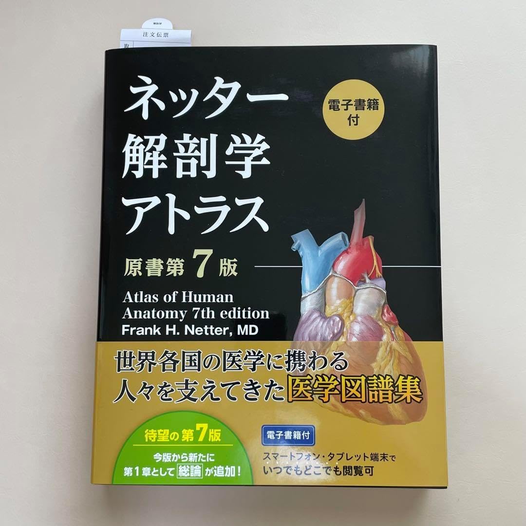 ネッター解剖学アトラス 原書第7版 未使用 解剖 学 本 ネッター解剖学
