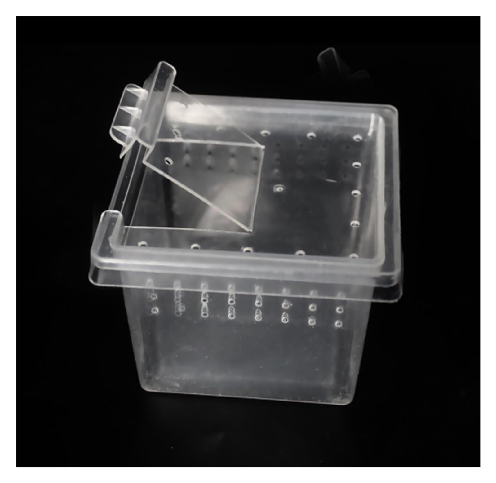 Terrario Reptiles Insectos Jaula For Reptiles, 12 Unidades, Caja Portátil For Cría De Insectos, Serpientes, Arañas Terrario Caracoles