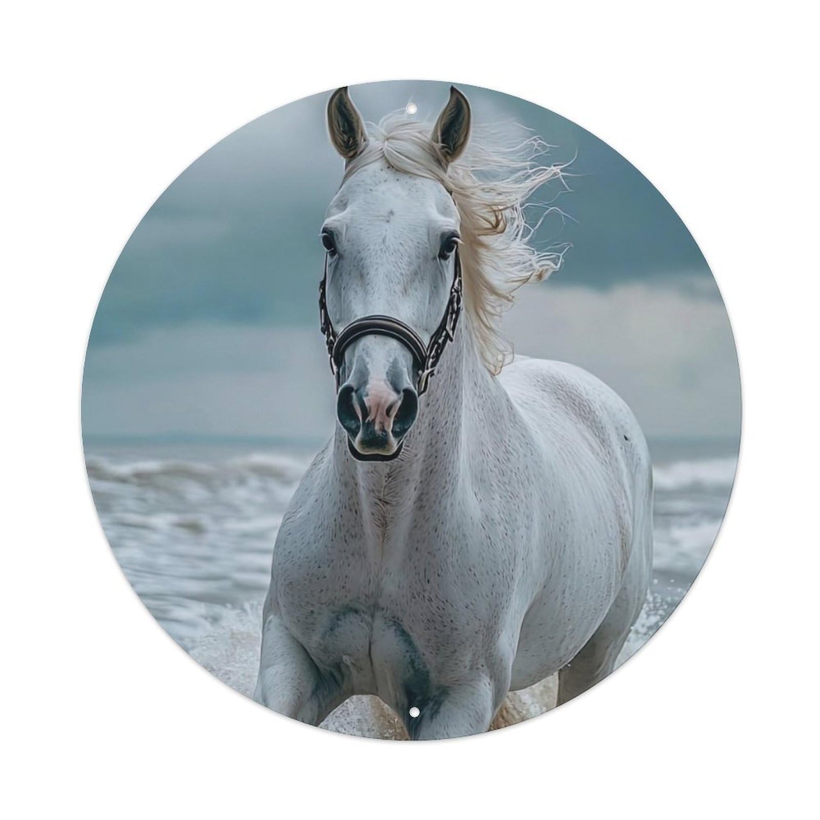 Animal White Horse Running in Water Metal Tin Sign