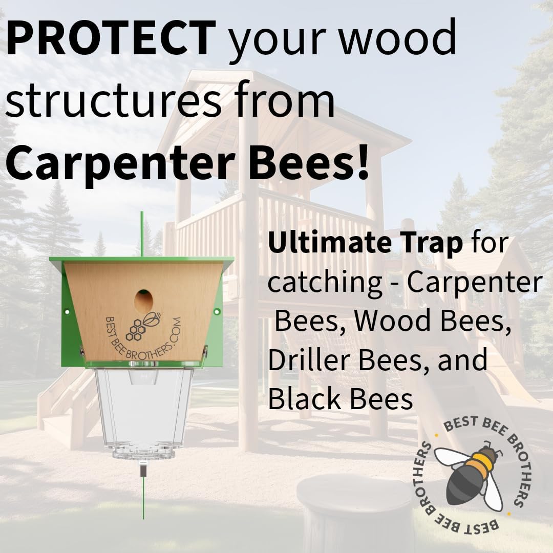 Best Bee Brothers Ultimate Carpenter Bee Trap for Outside with Large, Clear External Receptacle, Internal Bee Vault & Spring-Loaded Door, 5.75" L x 6" W x 4.5" H (4 Pack)