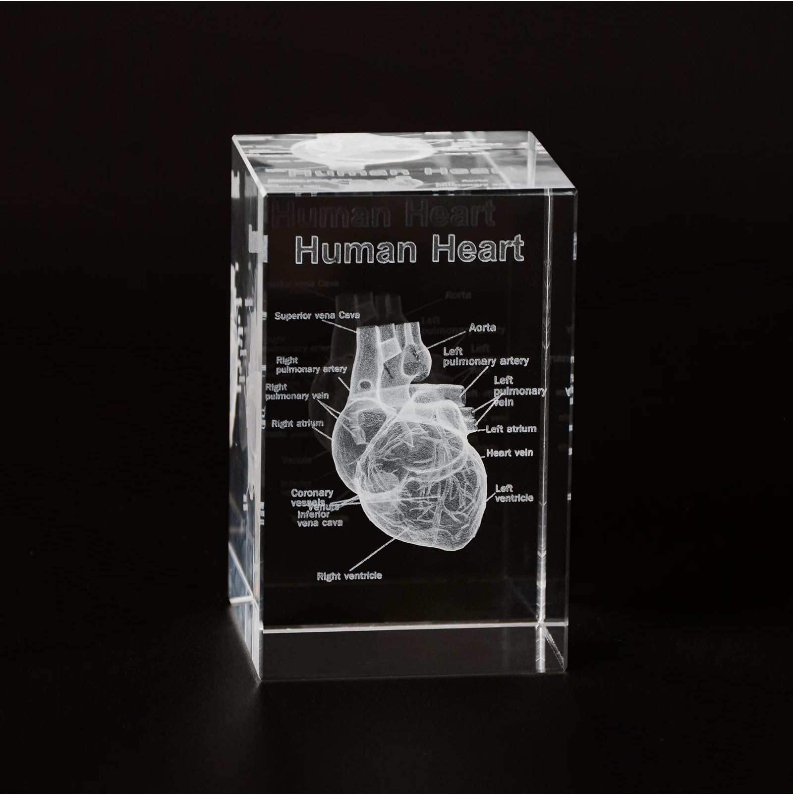 - Ultrassist 3D Human Heart Crystal Model, Laser Etched Anatomical Model for Home and Office Decoration, Cardiology Gifts