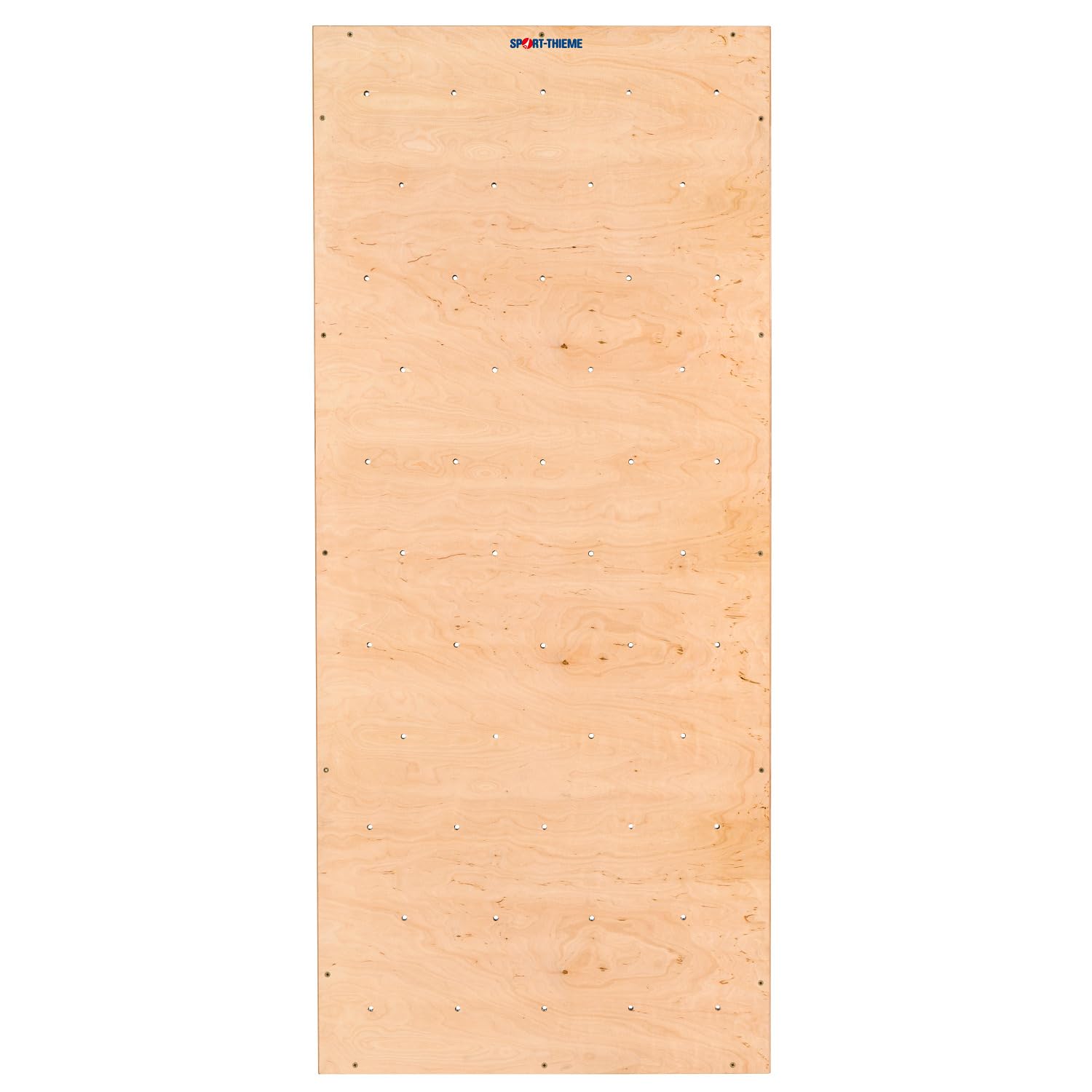 Sport-Thieme Turnwand-Einzelelement TuWa Kletterwand ohne Griffe